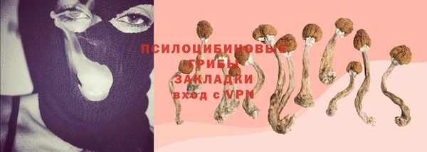 крисы Алзамай