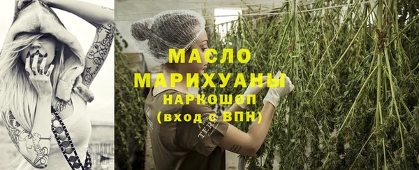 мет Алексин