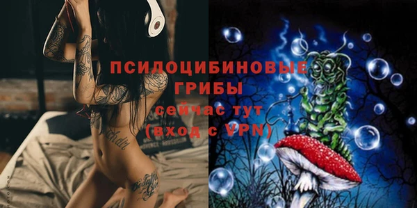 СК Алексеевка