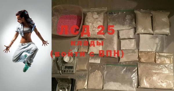 крисы Алзамай
