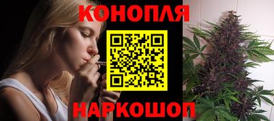 дмт Гусев