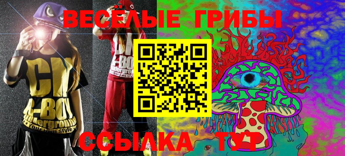 Псилоцибиновые грибы мухоморы  купить наркоту  Ливны  Вход с VPN 
